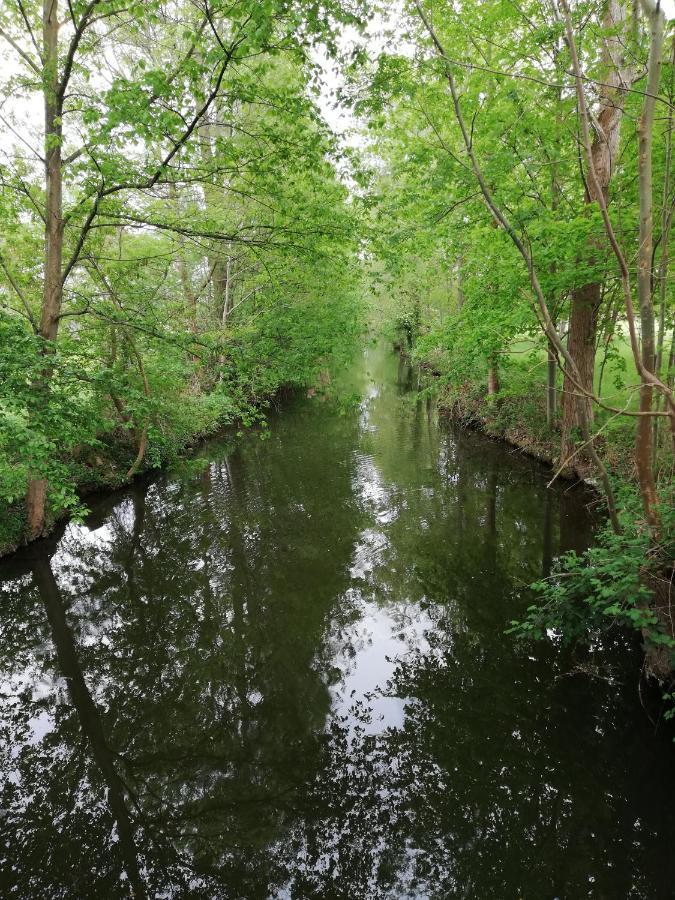 Am Waldrand Spreewald Hotell Burg  Eksteriør bilde