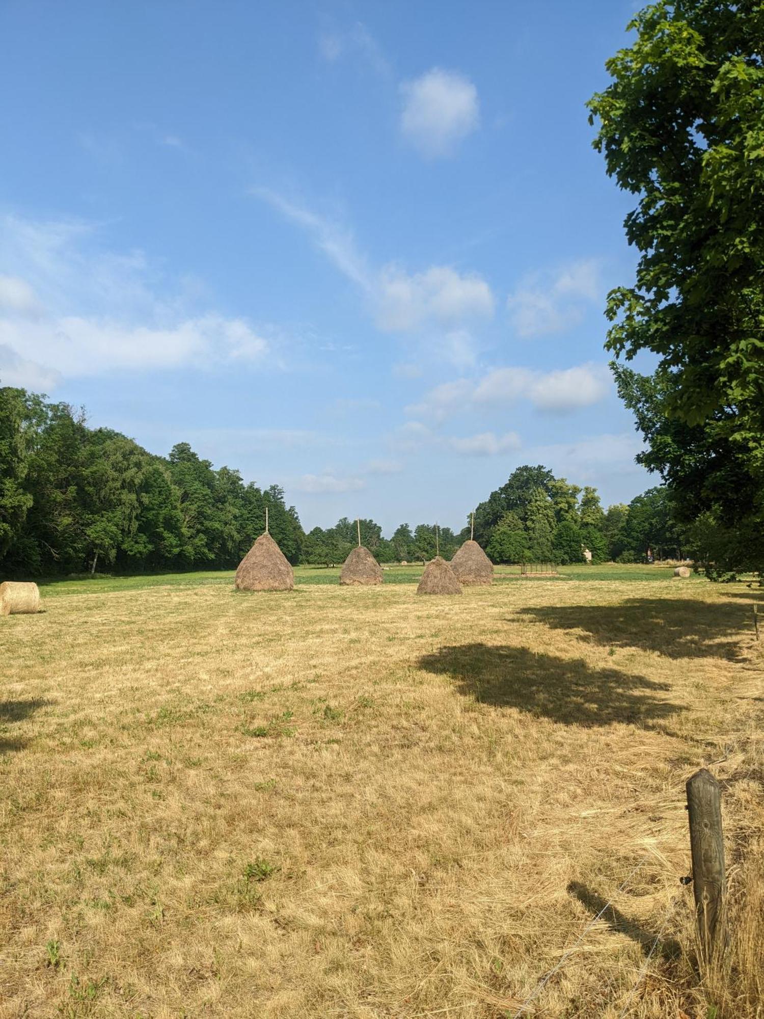 Am Waldrand Spreewald Hotell Burg  Eksteriør bilde